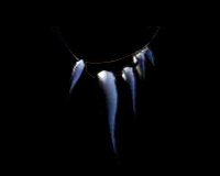 Ожерелье из клыков / Fang Necklace