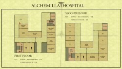Госпиталь Алхемилла (1F/2F)