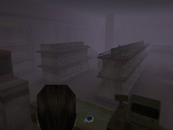 Канальный камень (Channeling Stone) в Silent Hill