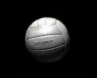 Волейбольный мяч / Volleyball