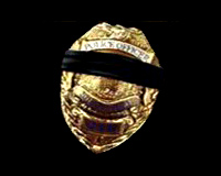 Полицейский жетон / Police Badge
